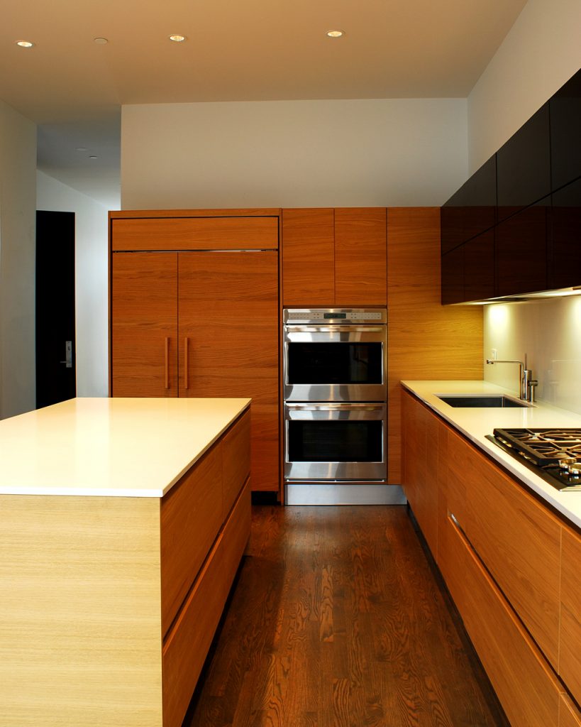 Custom kitchen in Chicago Condominium Formlinea Design Build, Chicago IL