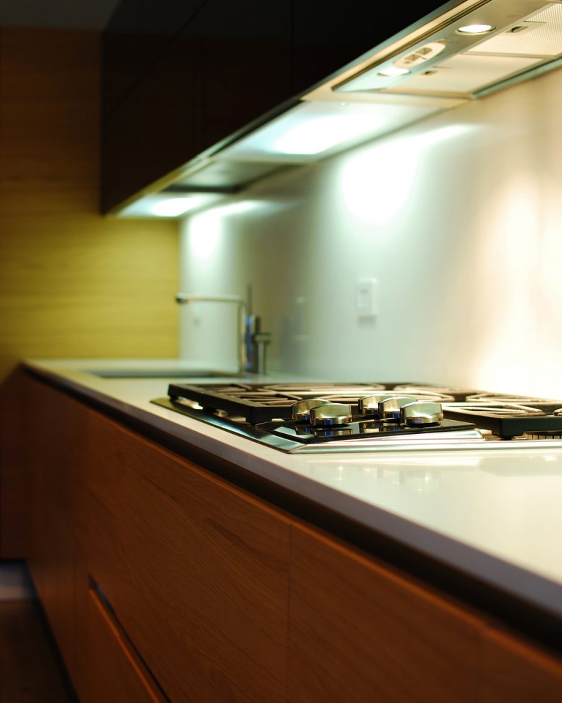 Custom applianced in Condo renovation Formlinea Design Build, Chicago IL