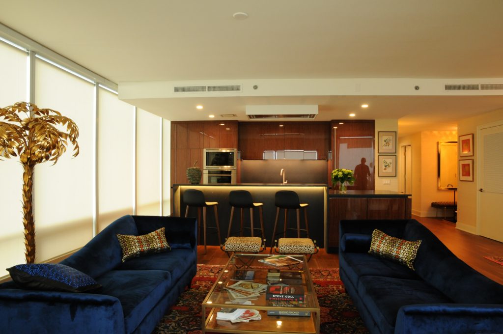 Living room in a condominium renovation Formlinea Design Build, Chicago IL